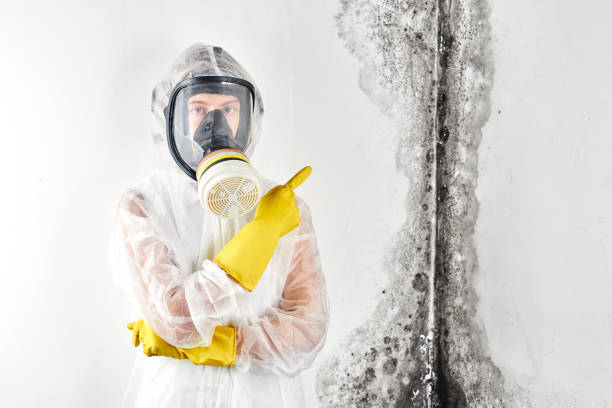 Mold Removal for HVAC Installations in Pierre Part, LA