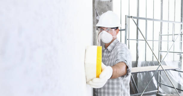 Best Black Mold Removal  in Pierre Part, LA